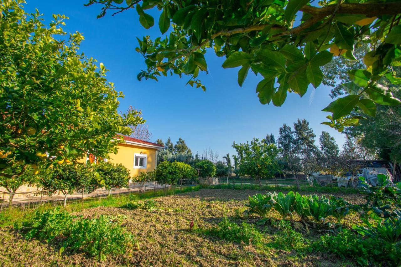 Loukas Farm House Áyios Kírikos Bagian luar foto