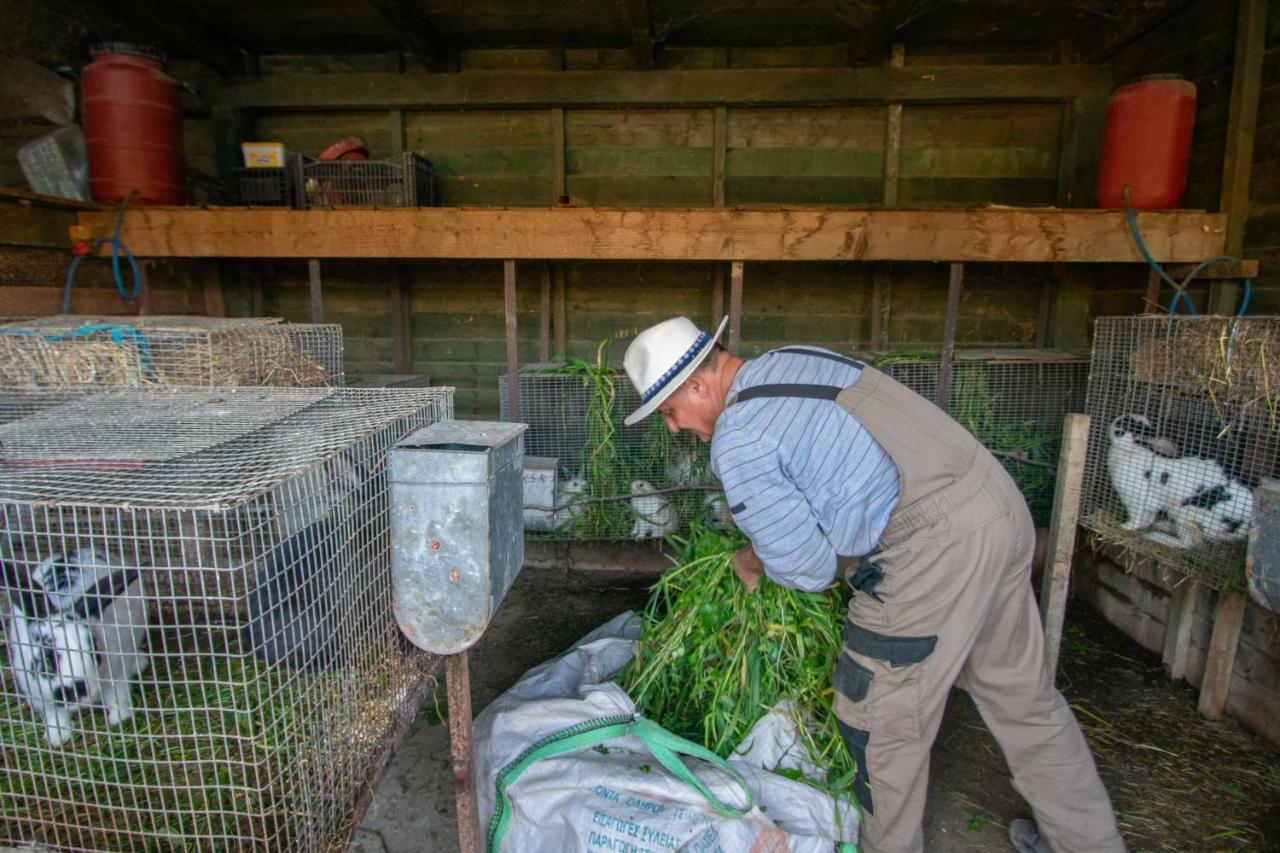 Loukas Farm House Áyios Kírikos Bagian luar foto