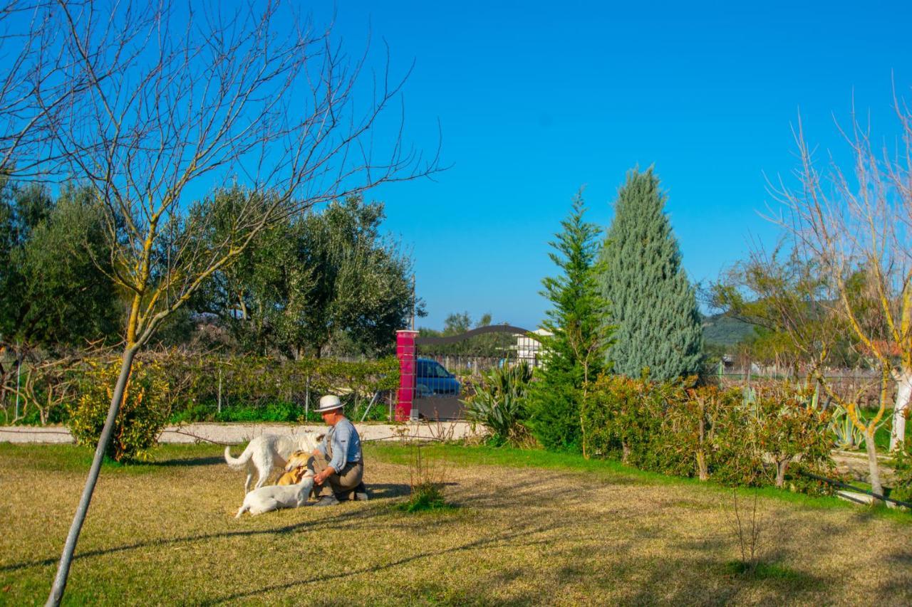 Loukas Farm House Áyios Kírikos Bagian luar foto