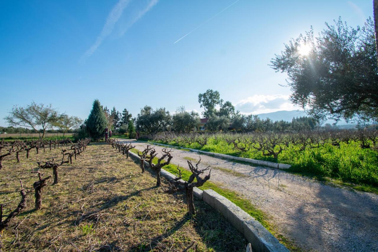 Loukas Farm House Áyios Kírikos Bagian luar foto