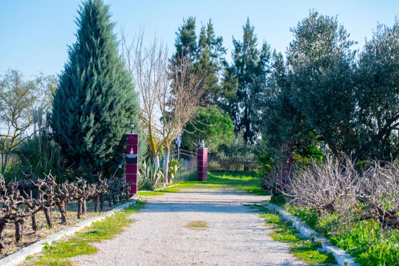 Loukas Farm House Áyios Kírikos Bagian luar foto