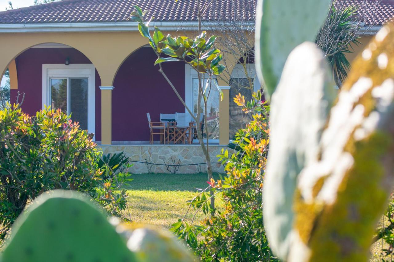 Loukas Farm House Áyios Kírikos Bagian luar foto